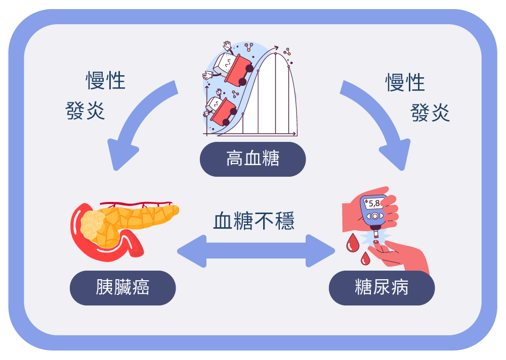 Aug.2024.彭正明醫師-胰臟診療室-糖尿病與癌症的距離-04