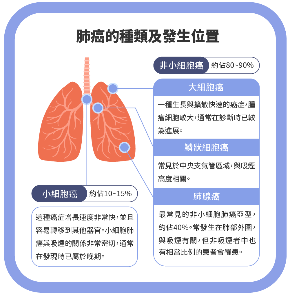 Dec.2024-徐培菘醫師-肺&呼吸道疾病肺癌-肺腺癌一樣嗎 肺癌各期的治療、飲食建議-02