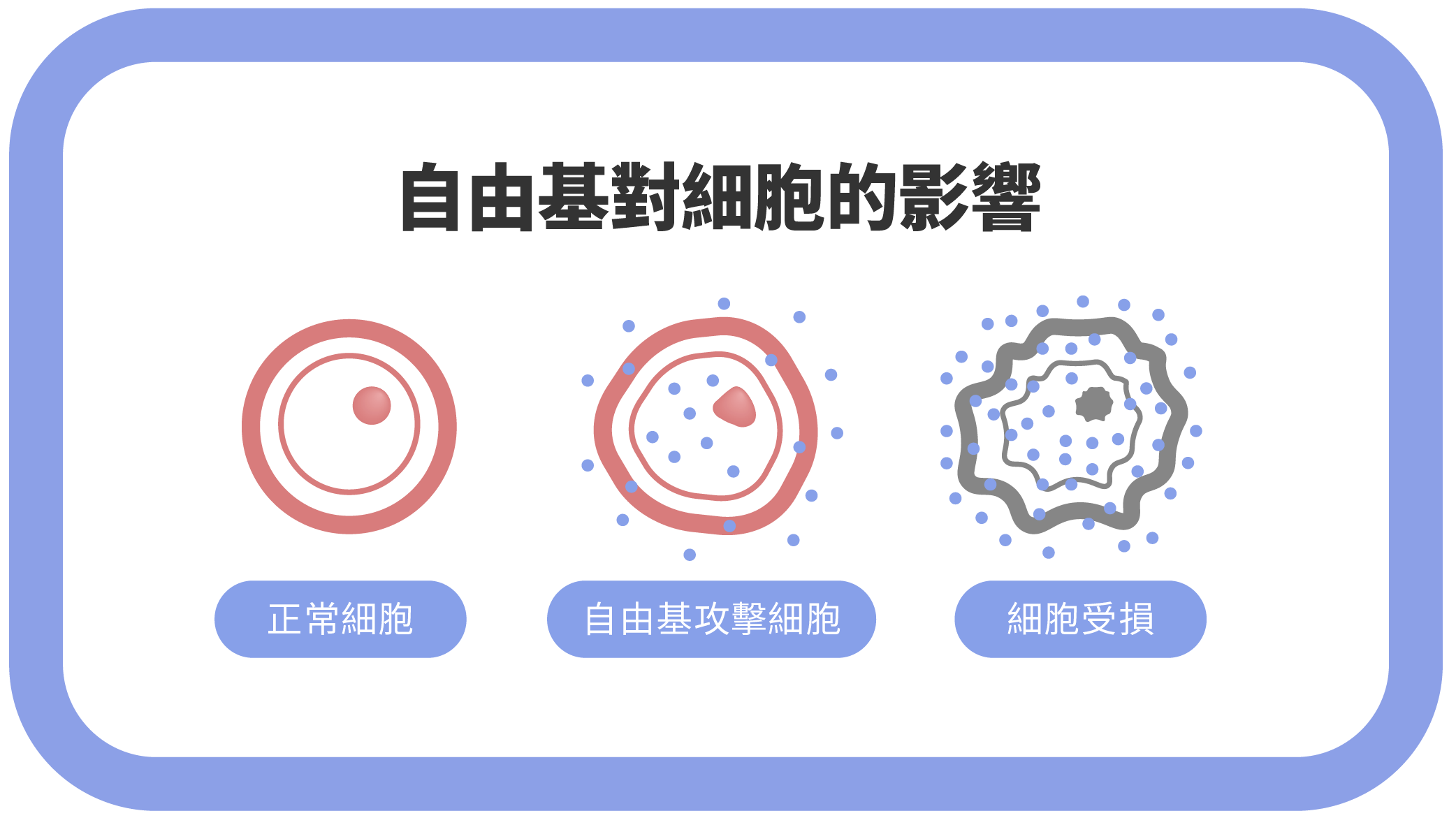 Jan.2025-李昭德醫師-維他命C 與癌症治療：高劑量療法如何影響衰老與癌細胞增長_李昭德醫師-02