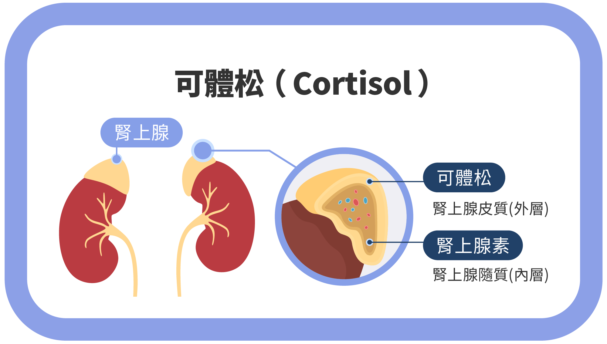 Jan.2025-歐世宸醫師-你累了嗎 慢性疲勞已經是當今社會很常見的症狀，如何預防和改善慢性疲勞？-02